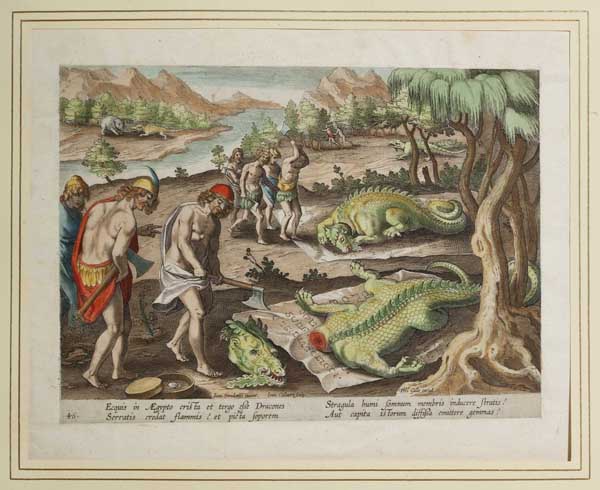 Johannes Stradanus Venationes Ferarum, Avium, Piscium...", Antwerpen, 1578-96 und später  " Nahezu - Bild 7 aus 9