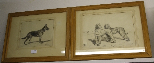 A Pair of Irene Tennant Pen & Ink Drawings of Dogs Each signed lower right One approx 17.5 x 23cm,