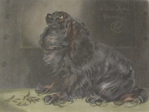 An Engraving after Sir. E Landseer Engraved by CG Lewis. The Pet of the Duchess Approx 15 x 20cm.