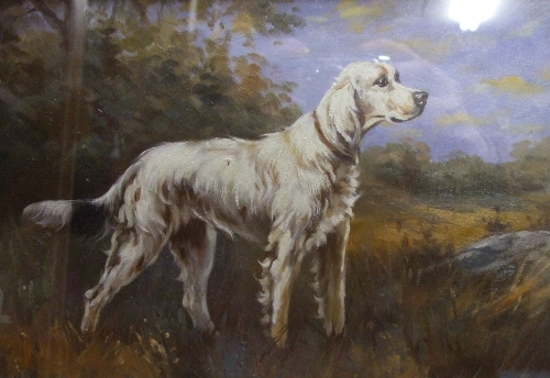 An Oil on Board Study of an English Setter.