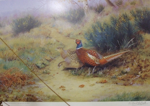 A Limited Edition Richard Robjent Print of Pheasants, signed by the artist in pencil to margin. 43cm