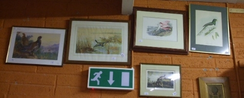 Five Ornithological Prints.