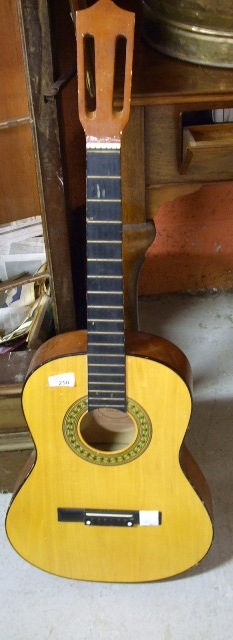 A `Herald` Acoustic Guitar.