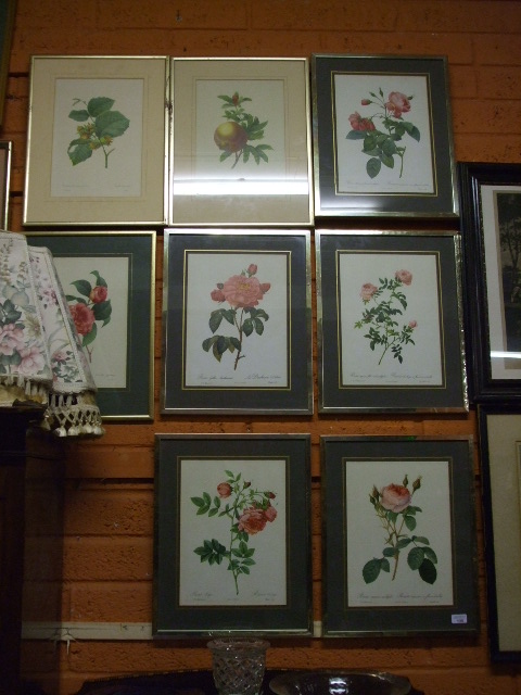 A Set of Six Studies of Roses after Redouté, and Two Others. (8).