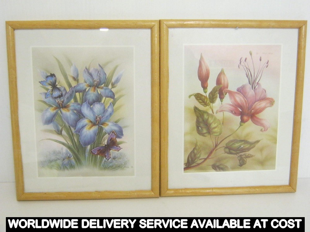 2 x framed floral pictures - Rob Pohl - 23cms x 28cms frame approximately