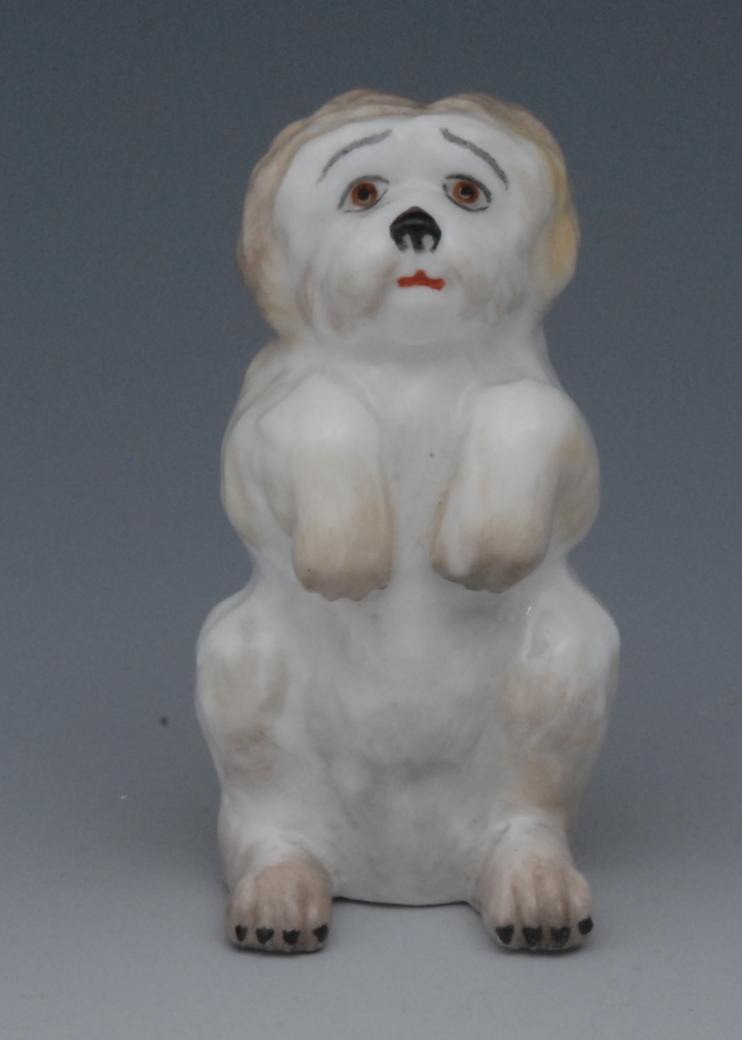 A Sampson Hancock model, Shih Tzu, begging, coloured in tones of brown, 6.5cm high, S, H, crown,