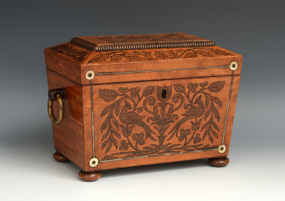 An Irish Killarney marquetry sarcophagus tea caddy, hinged cover enclosing satinwood lidded twin