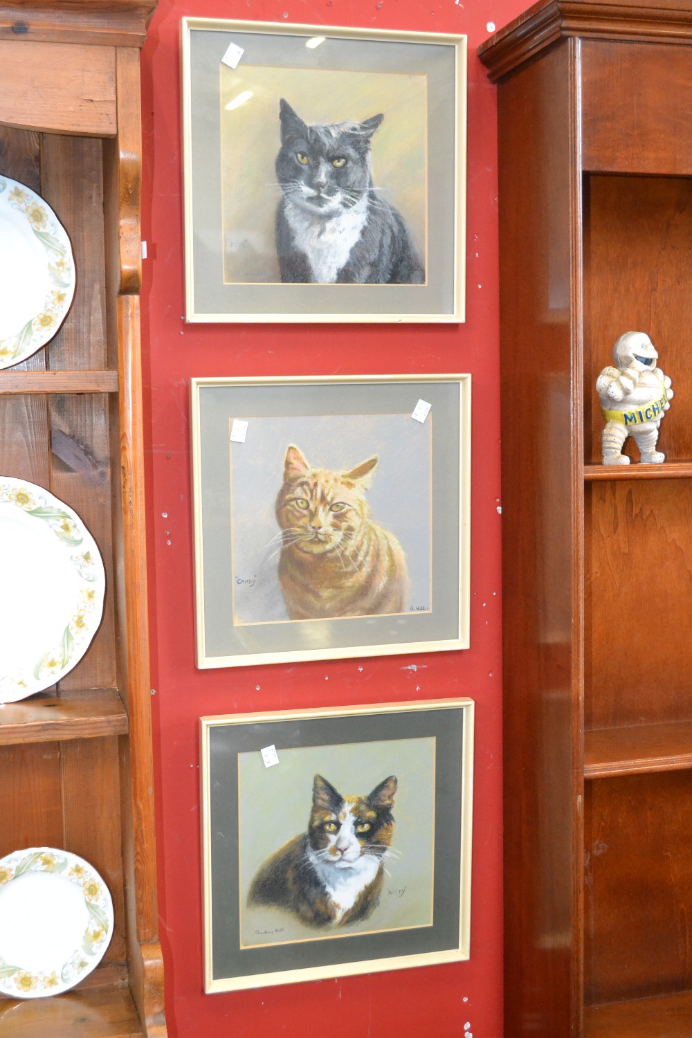 Three pastel paintings of cats, Audrey Hill, signed, framed