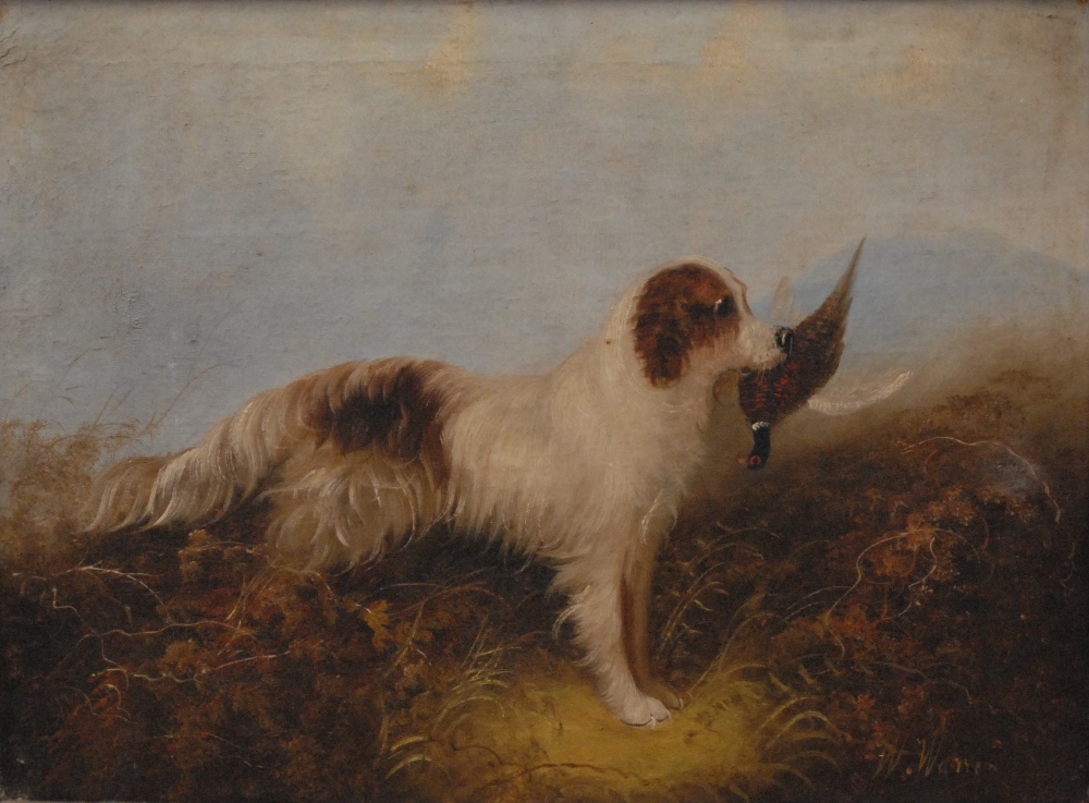 W**Warren (19th Century) A Pair, Terrier and Gun Dog signed, oil on canvas, 36.5cm x 50cm