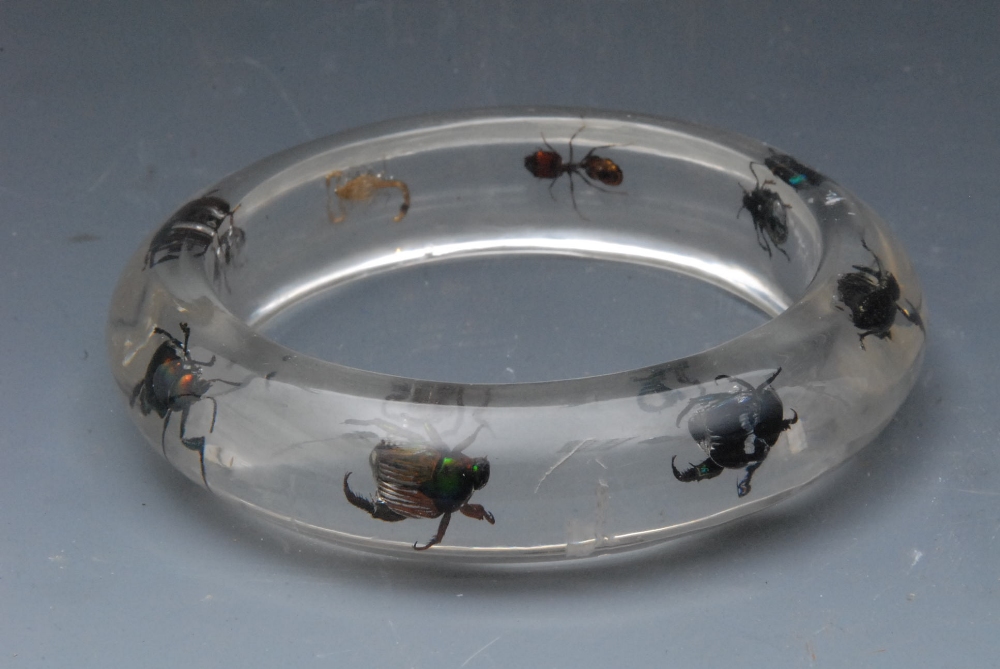 An unusual clear perspex bangle, encasing eight preserved exotic insects, 8.5cm diam