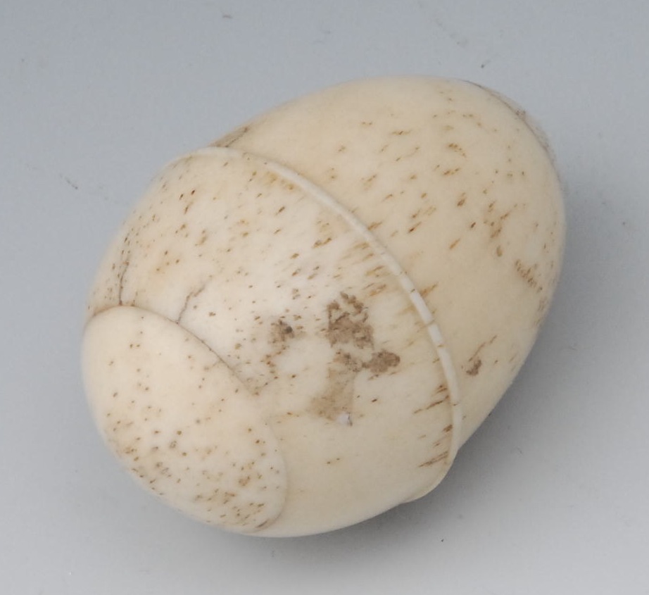 A George III turned bone egg shaped nutmeg grater, screw-fitting cover enclosing a steel rasp, 5cm