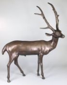 A mid 20th century bronze figure of a stag, unsigned, standing with head raised, 94cm high.