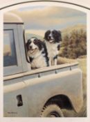 Nigel Hemming (born 1957) - Study of two black and white collies `Back Seat Drivers`- a limited