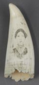 A scrimshaw decorated tooth, incised with a portrait of a woman in a laurel wreath frame, 12cm long.