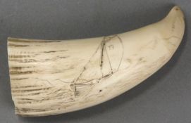 A scrimshaw decorated tooth, incised with a racing dinghy, with traces of panoramic landscape to