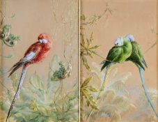 Harry Bright [1846-1895] A pair of lilac-crowned parrots in foliage; A companion of a red parrot a