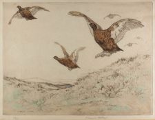 George Vernon Stokes [1873-1954]- Grouse over a moor -coloured etching, signed and numbered 52/75,
