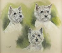 Ursula White (20th Century) - Portraits of a West Highland Terrier:; in three positions, pastel,