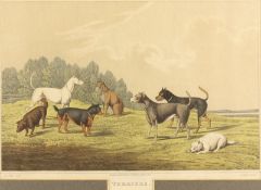 I Clark after Henry Alken - Water Spaniels, Spaniels, Setters and Terriers a set of four coloured