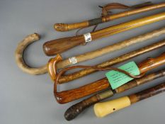 An ivory handled walking cane, a bamboo sword stick and five other various walking canes:.
