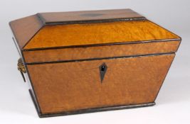 A 19th century burr maple tea caddy   of sarcophagus outline, bordered with ebony lines, the