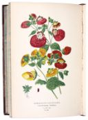 STEP, Edward: Favourite Flowers of Garden and Greenhouse: 4 vols, 316 chromolithograph plates, cont.