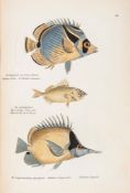 Schinz (Heinrich Rudolf) - Naturgeschichte und Abb 2 vol. including plate vol.,  text vol. lacking