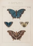 Illustrations of Natural History, 3 vol., first ed  Illustrations of Natural History,  3 vol.,