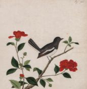 Anglo-Chinese School (19th Century) Bird and camellias watercolour heightened with gum arabic,