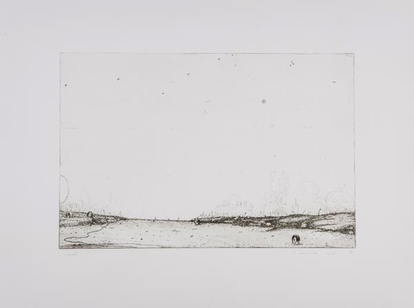 DS Nigel Cooke (b.1973) Cryptoveldt etching, 2003, signed, titled and dated in pencil, numbered 66/