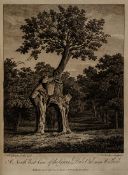 Evelyn (John) Silva, or a Discourse of Forest-Trees... edited by Alexander Hunter, engraved portrait