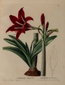 Candolle (Augustin Pyramus de) Plantes Rares du Jardin de Genève 4 parts in 1, first edition,