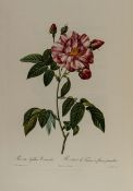 Redouté (Pierre-Joseph) Les Roses avec le Texte, par Cl. Ant. Thory, 4 vol. comprising 3 vol.