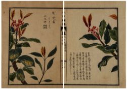 Japanese School.- Iwasaki Tsunemasa. Honzo Zufu [Iconographia Plantarum] double-page colour plates