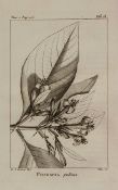 Michaux (André) Flora Boreali-Americana sistens caracteres plantarum..., 2 vol., first edition,