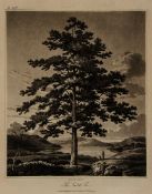 Kennion (Edward) An Essay on Trees in Landscape first edition, aquatint title vignette and 50