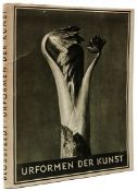 Blossfeldt (Karl) Urformen der Kunst: Photographische Pflanzenbilder, second edition, 96