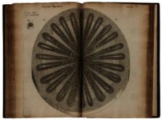 Grew (Nehemiah) The Anatomy of Plants. With an Idea of a Philosophical History of Plants, first