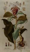 Plenck (Joseph Jakob) Icones plantarum medicinalium... Centuria I only (of 8), first edition,