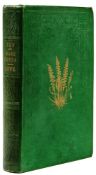 Lowe (Edward Joseph) A Natural History of New and Rare Ferns first edition, 72 wood-engraved
