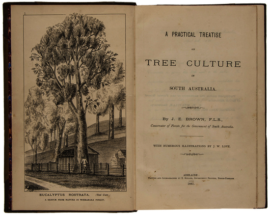 Brown (John Ednie) A Practical Treatise on Tree Culture in South Australia first edition,