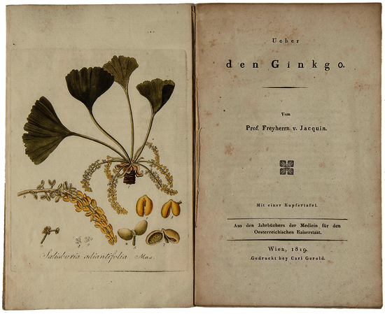 Jacquin  (Franz Joseph von, Baron) Ueber den Gingko, 12pp. including final blank, hand-coloured