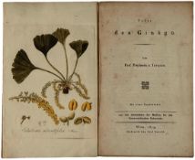 Jacquin  (Franz Joseph von, Baron) Ueber den Gingko, 12pp. including final blank, hand-coloured