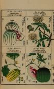 Agricultural Society of Japan. Useful Plants of Japan, Described and Illustrated 5 vol. including