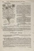 Early Printing.- collection of leaves from English books c. 25 ff. , including John Gerard,