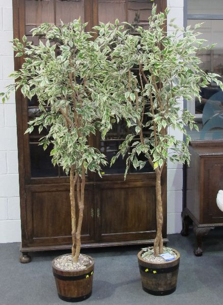 PAIR OF ARTIFICIAL POTTED TREESBidding is taking place on our sister site bidspotter.co.uk Click