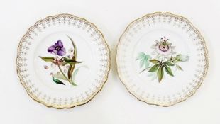 Pair nineteenth-century (c. 1840 - 1850) Chamberlains Worcester porcelain dessert plates, each