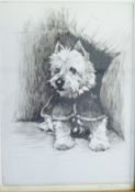 Etching 
After Cecil Aldin (1870-1935)
Portrait of a puppy, signed, 67/180