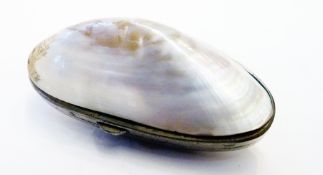 Oyster shell purse, with fitted compartments, 10cm long