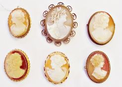 Six cameo brooches in various settings